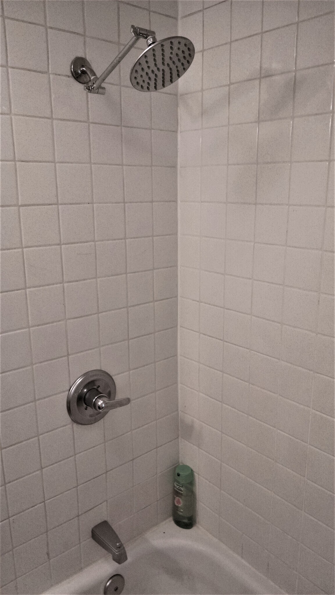 Bathroom - 237 Pine Lake Dr