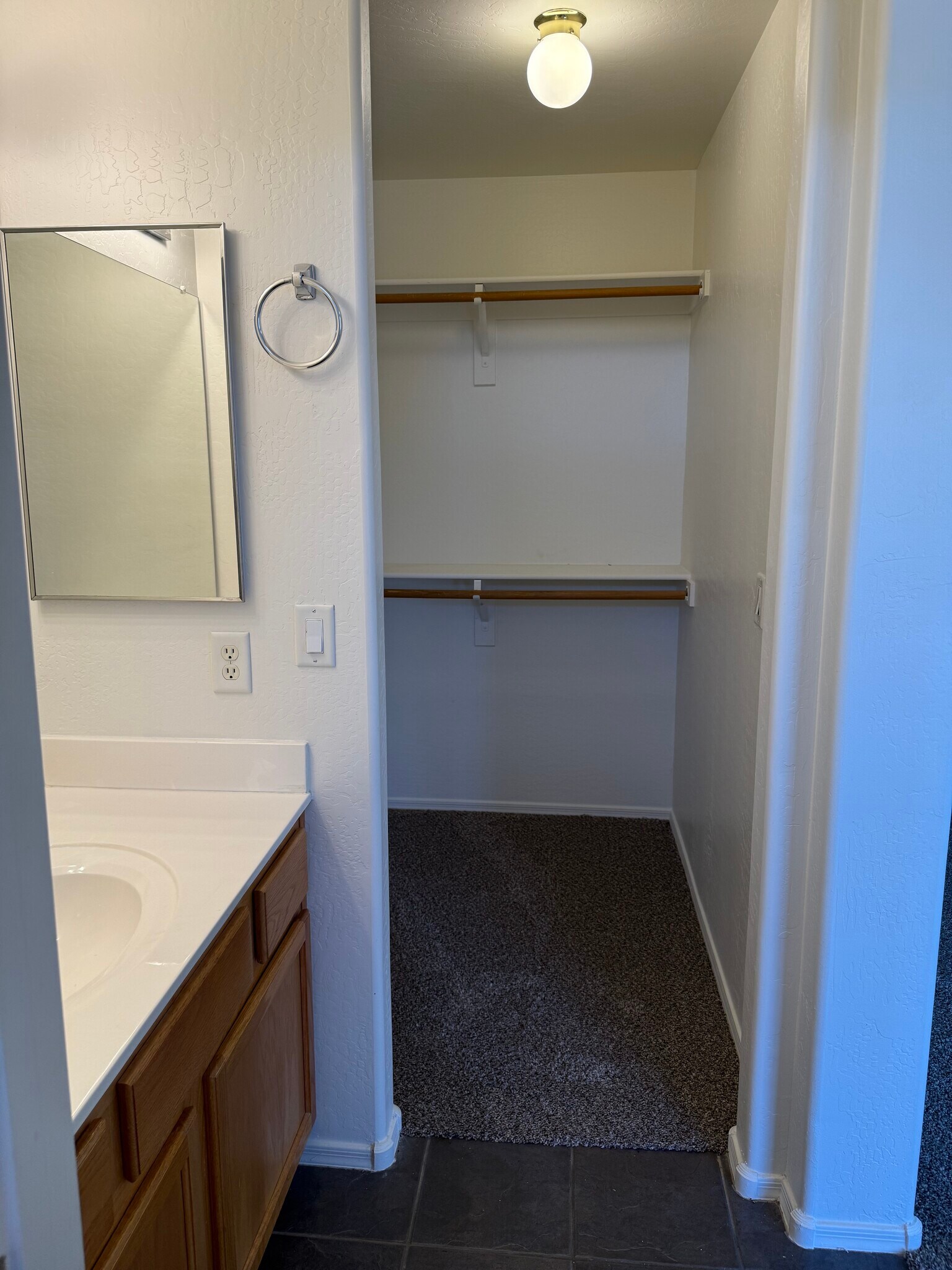 Primary walk-in closet - 3793 S Joshua Tree Ln