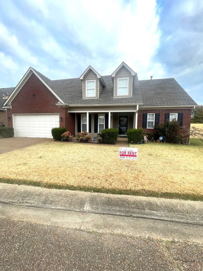 Homes For Rent In Lakeland Tnnull