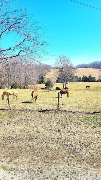 Building Photo - 1444 Ben T Johns Rd