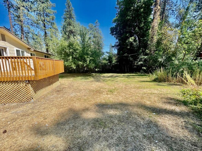 Building Photo - New on the Market!