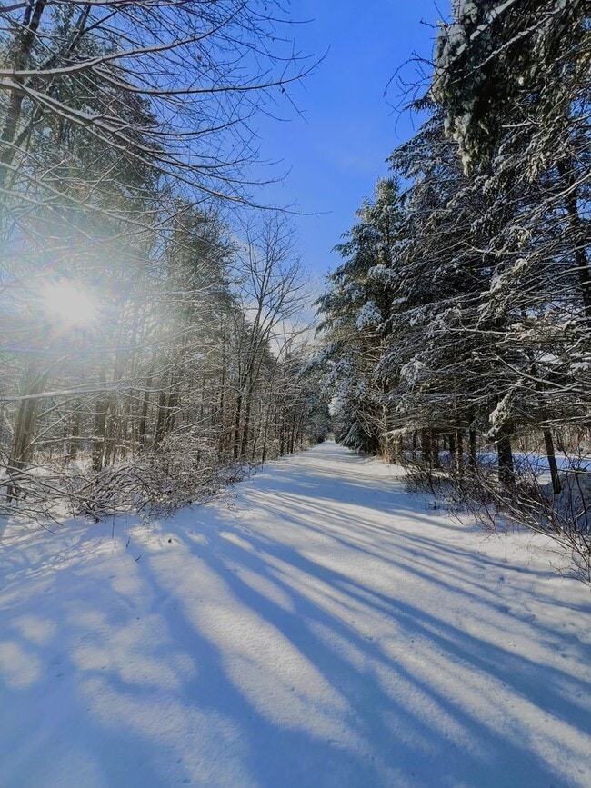 Building Photo - Charming 4-Bedroom Single-Family Home in a Peaceful, Scenic Setting