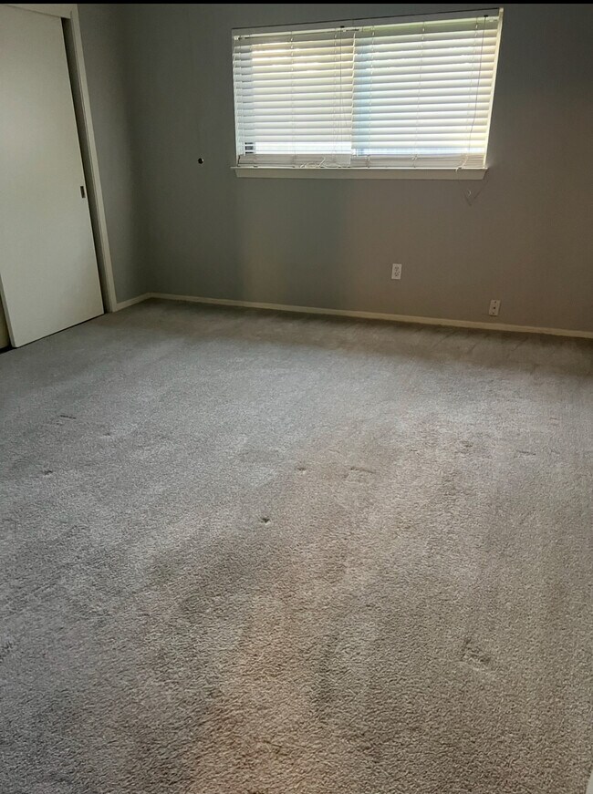 Building Photo - 20003 Rustlewood Dr