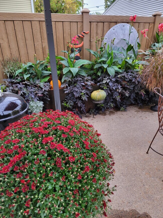 Fall flowers Patio - 3140 Pleasant Ave S
