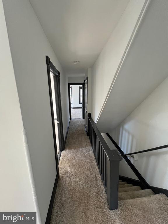 Building Photo - 438 Mitchell Ave