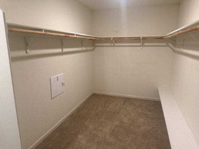 Building Photo - 3714 Zeppelin Ln