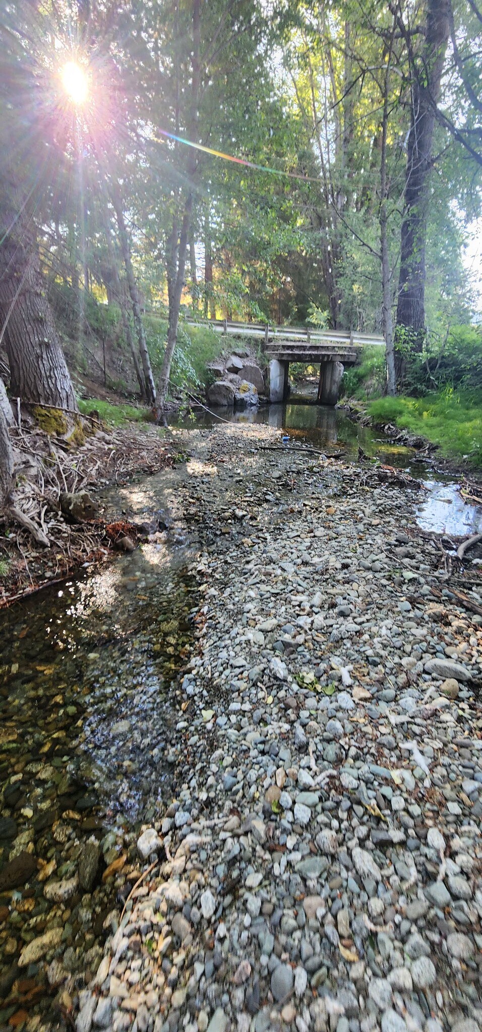 Building Photo - 2201 Hundley Rd