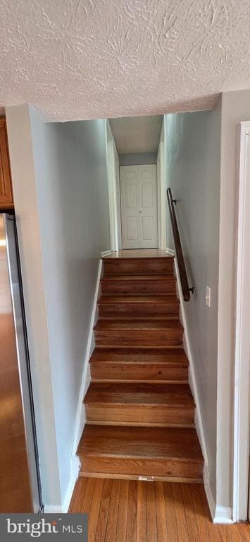 Building Photo - 223 Laura Anne Ct