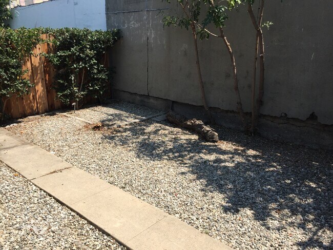 Yard View 2 - 1414 Logan St