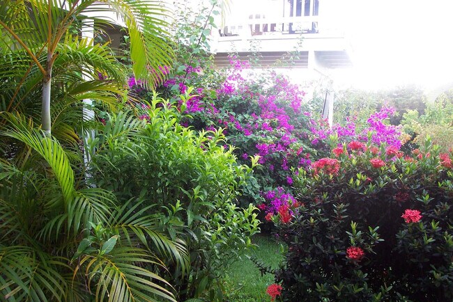 private garden divides property - 426 Ilimano St