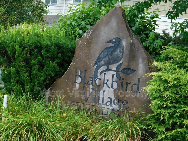 Primary Photo - 198 Blackbird Village Cir