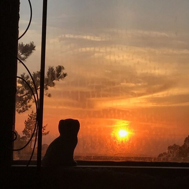 Building Photo - Peaceful Condo with Stunning Sunset & Ocea...