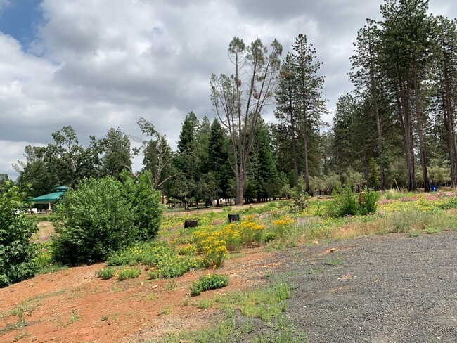 Building Photo - Breathtaking Paradise Retreat: Modern Home with Stunning Canyon Views and Next to Billie Park!