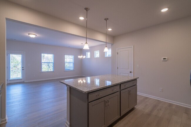 Building Photo - Beautiful Brand New 3 Bedroom 2.5 Bath Townhome in Hickory Glen!