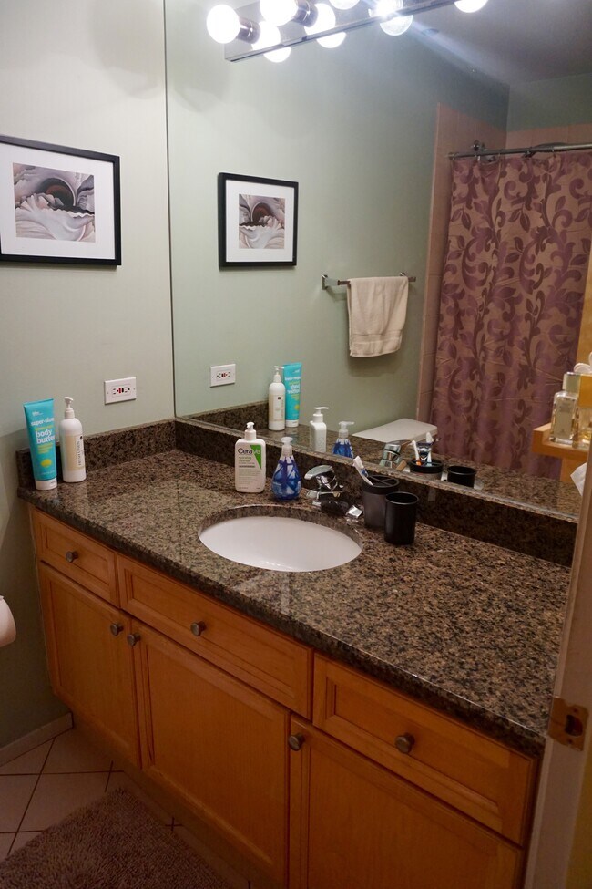 Bath with granite, full mirror - 2300 W Wabansia Ave