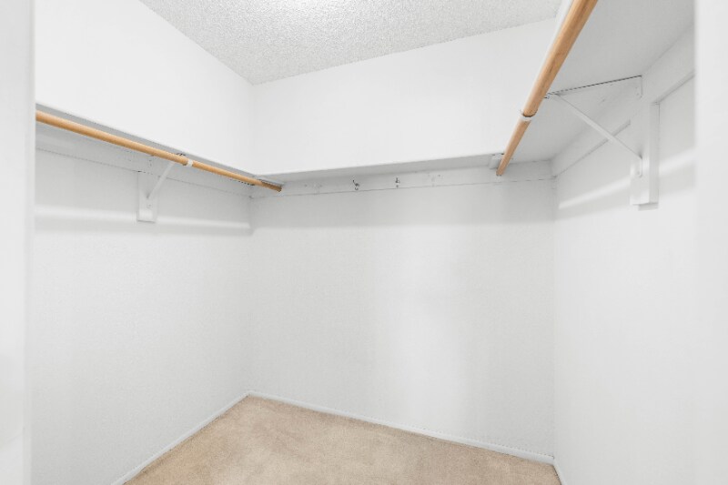 Building Photo - 1349 Cholla Cir