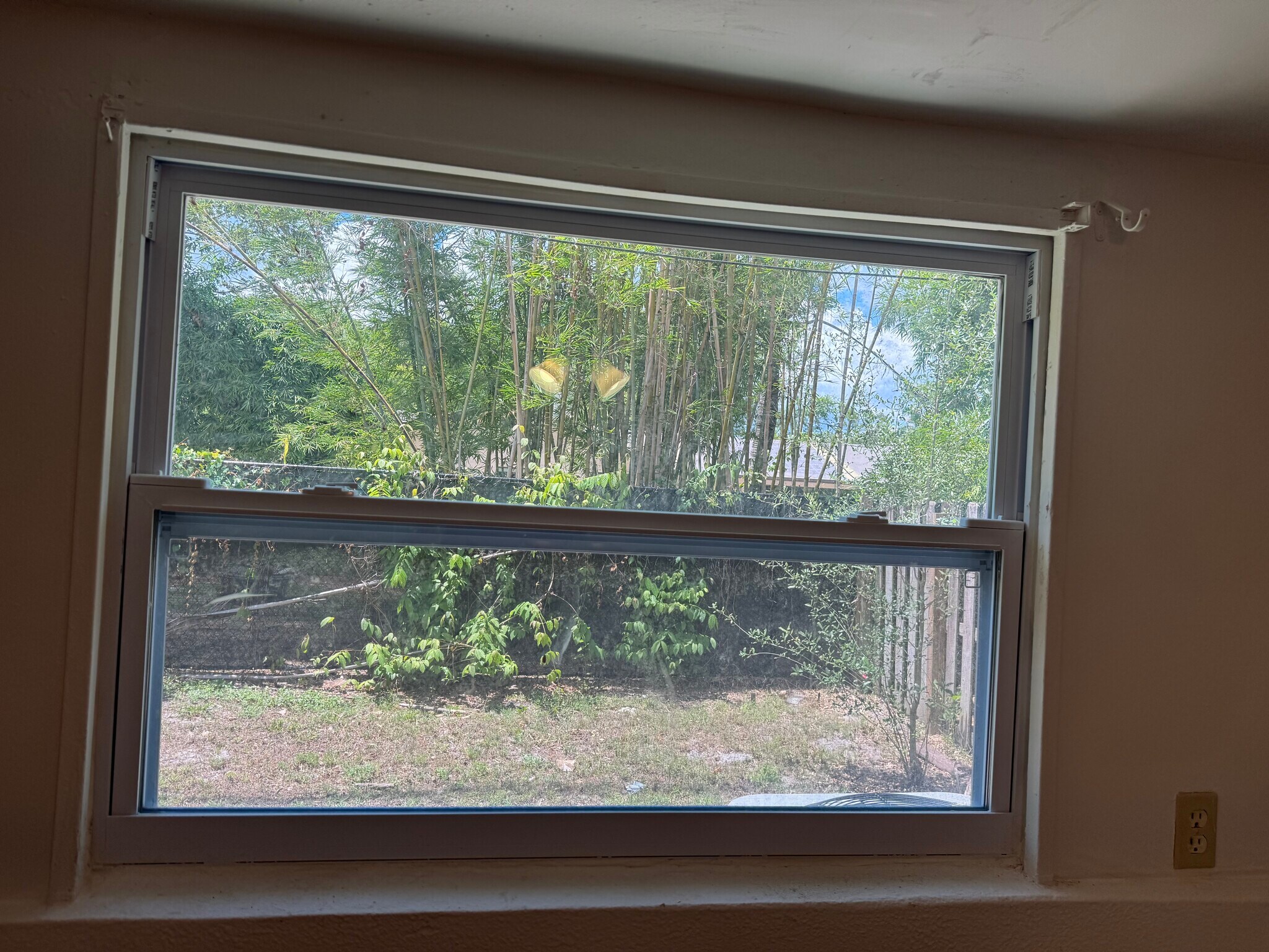 Back yard view - 4620 McGregor Blvd