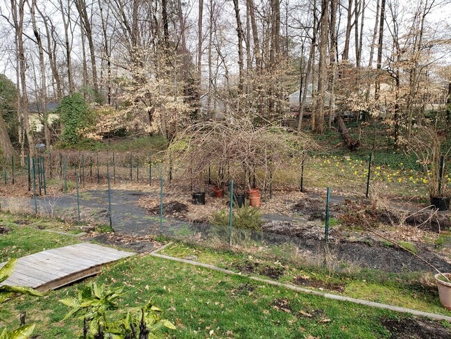 Building Photo - 4 Bed | 2 Bath House in Raleigh
