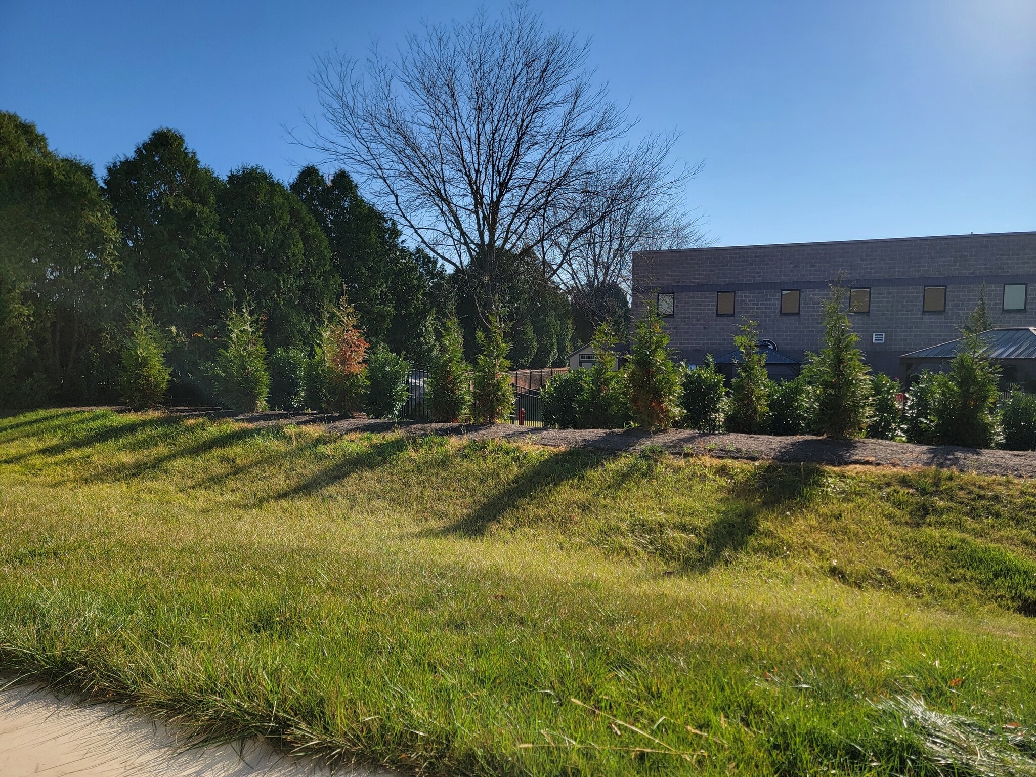 Building Photo - 213 Buckton Dr