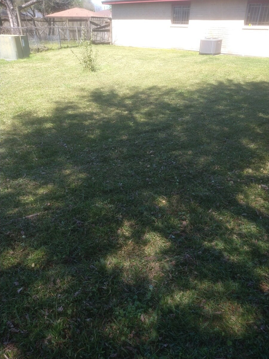 Building Photo - 7750 Water Park Ln