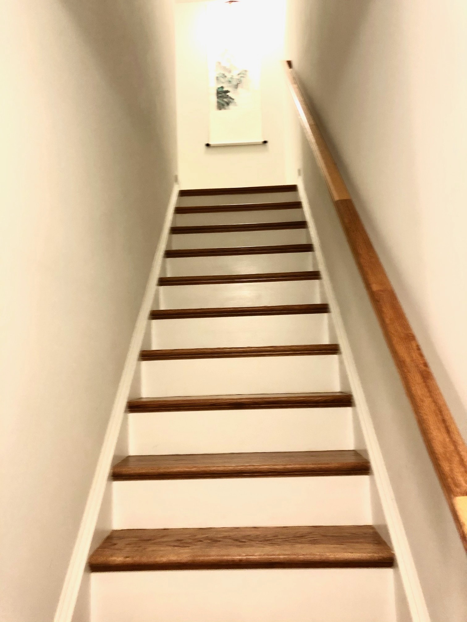 Building Photo - 4325 Candace Ln