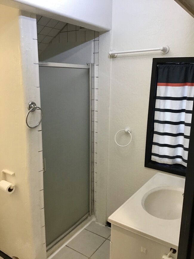 shower & sink - 1236 Laguna Dr