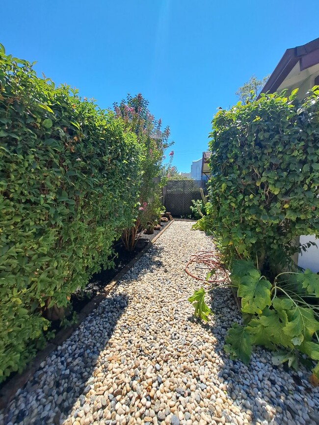 Building Photo - Stunning Home in Downtown Napa