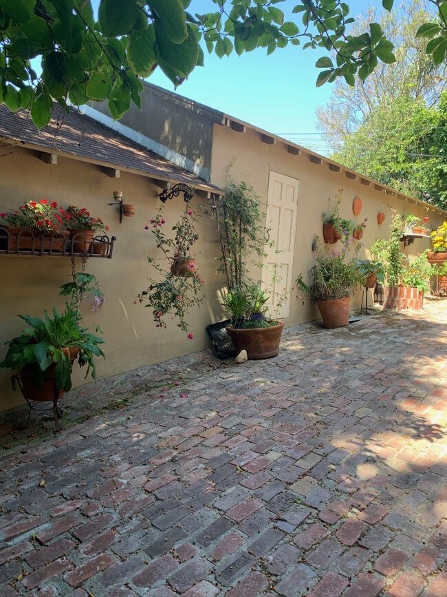 Backyard Patio - 2816 Waverly Dr