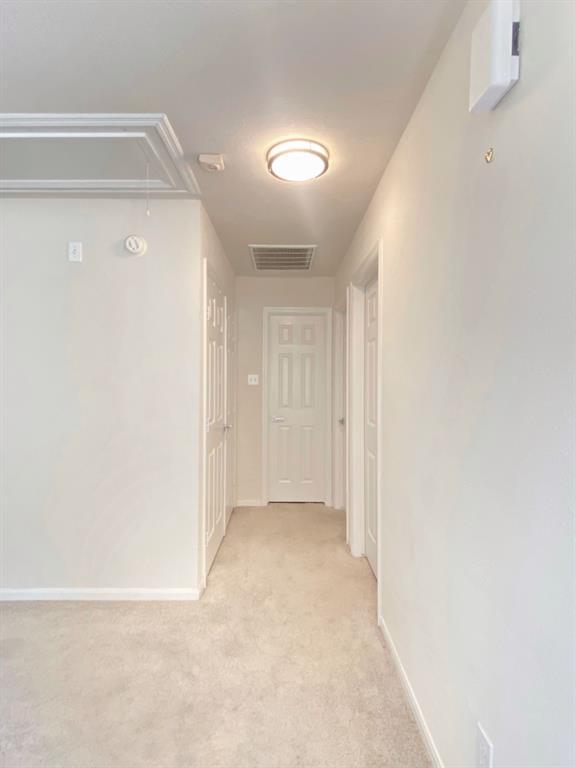 Building Photo - 54 Alderon Woods Pl
