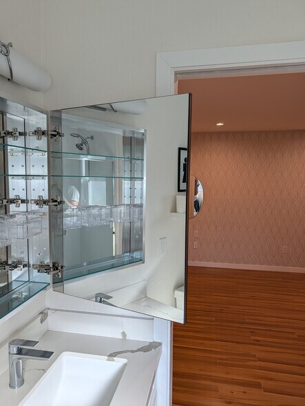 Mirrored medicine cabinet in master bath - 487 Tuscarora Dr