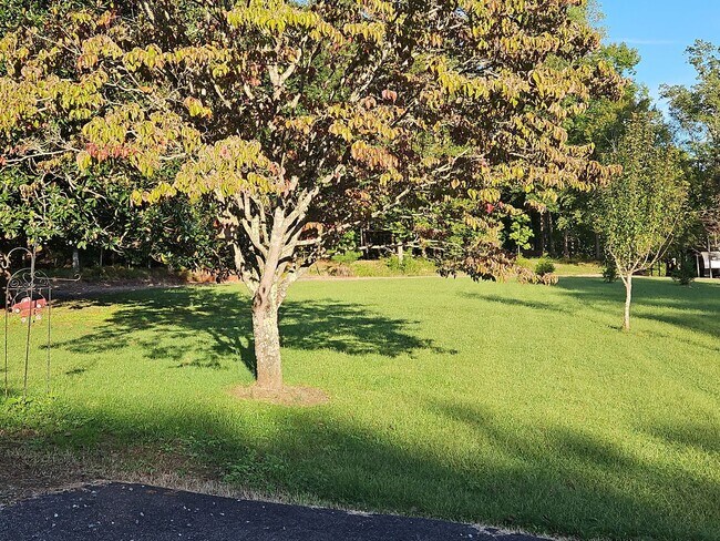 Building Photo - 3 Bedroom, 2 bath Home with Garage in New ...