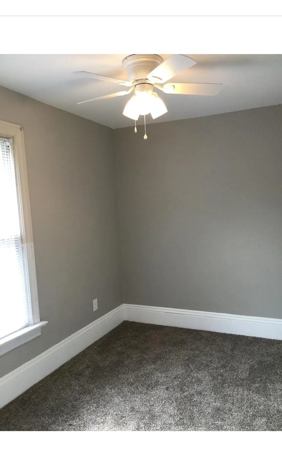 Building Photo - 701 Wilson St