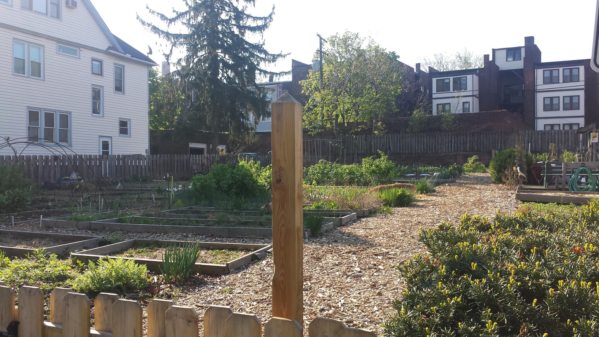 Community Garden - 2656 Hampshire Road