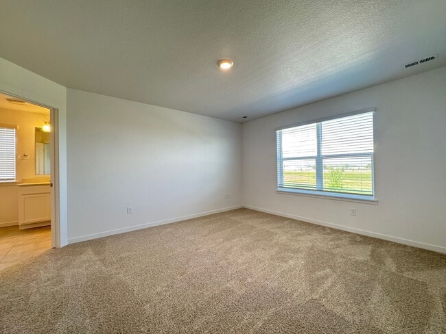 Building Photo - Brand New, Beautiful House-Fort Collins/Windsor