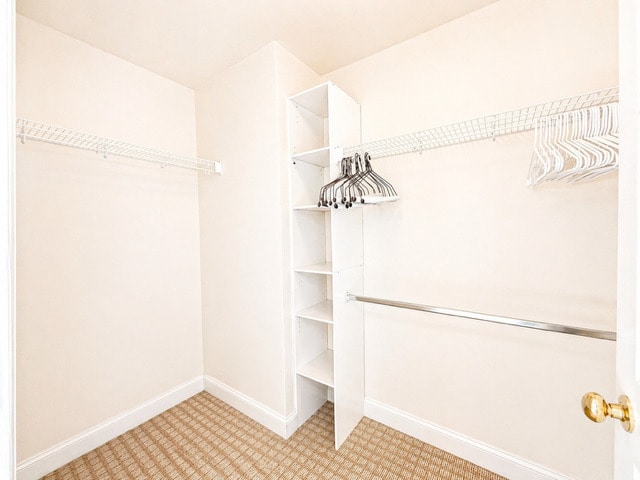 Building Photo - 239 Richards Ct