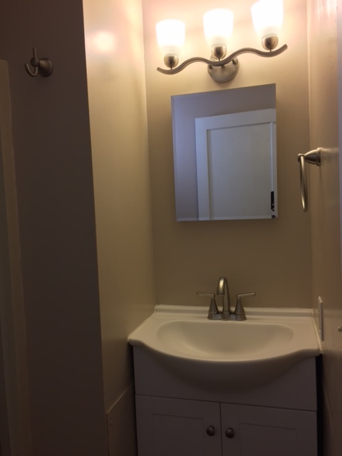 Brand new vanity and lighting. - 4501 Walter Ave