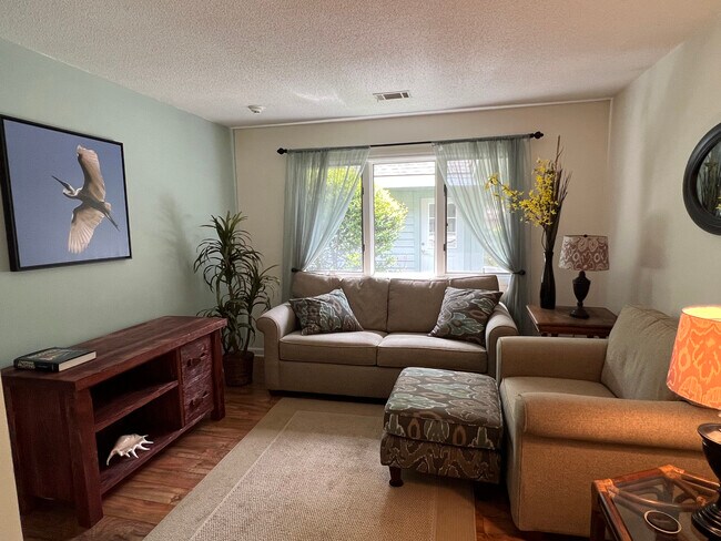 sitting room with sleeper sofa - 1407 BB Sams Ct