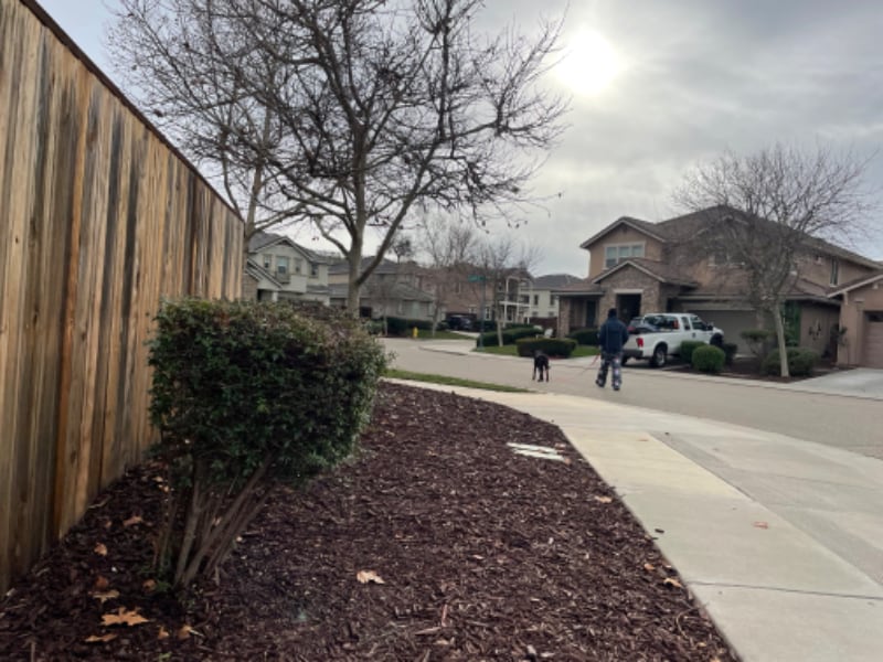 Building Photo - 9454 California Oak Cir