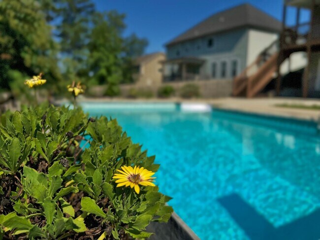 Building Photo - Estate STYLE home with pool and basement i...