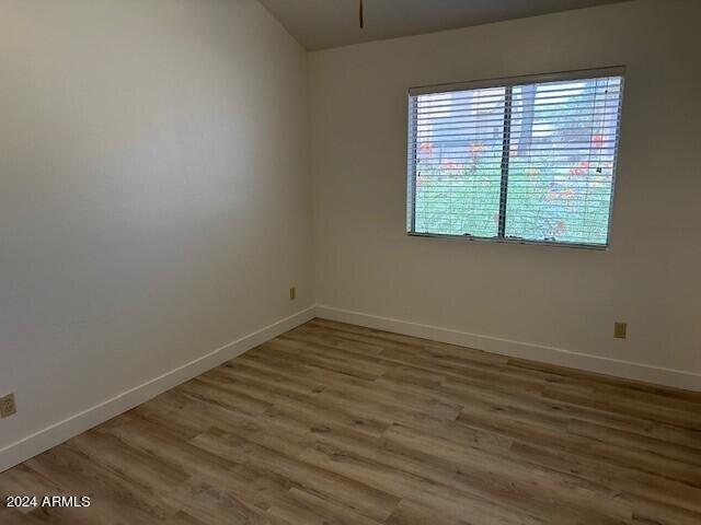 Building Photo - 2019 W Lemon Tree Pl