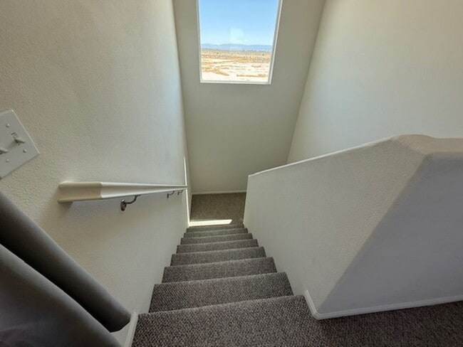 Building Photo - 2917 La Calle Audaz Ave