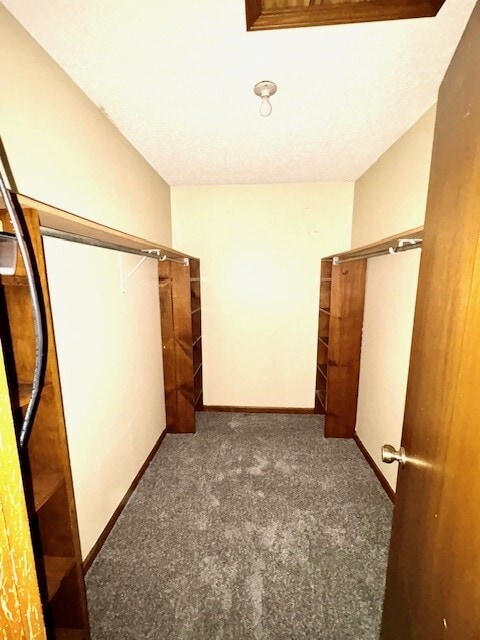 Building Photo - 7871 Carol Elaine Cir