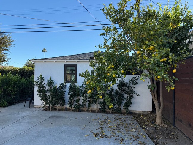 Building Photo - Open to 3 Month Short Term lease .Brand New Private Guest House for rent In Jefferson Park