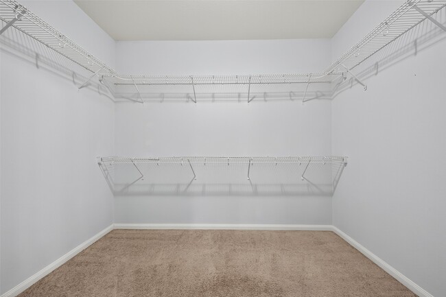 Building Photo - 5119 Harbor Palm Dr