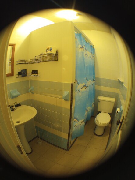 Building Photo - 533 66th St