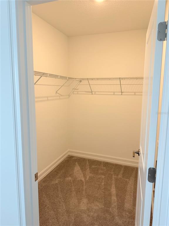 Building Photo - 18378 Serene Lk Lp