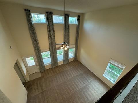 Building Photo - 3036 Tulip Poplar Ct