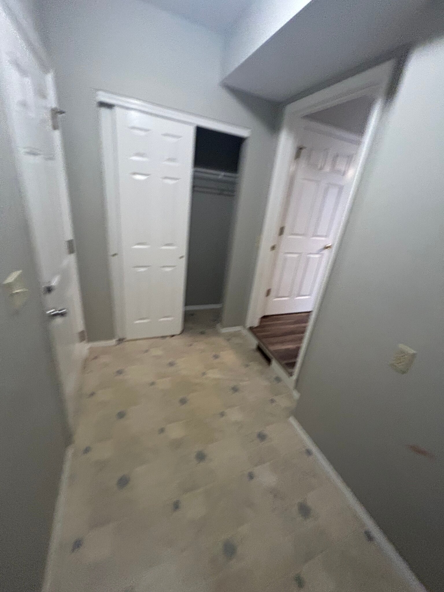 Building Photo - 331 Almond Tree Ct