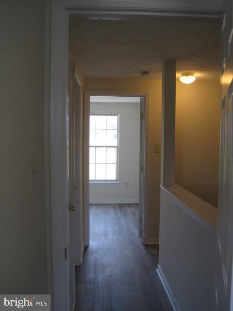 Building Photo - 1253 Valley Leaf Ct