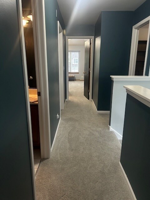 Building Photo - 3021 Serenity Ln
